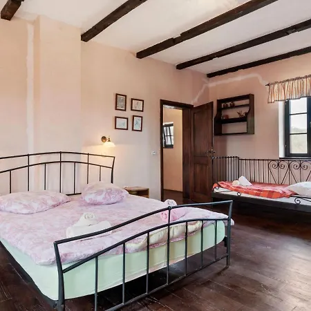 Luxurious In With Swimming Pool Villa Pazin
